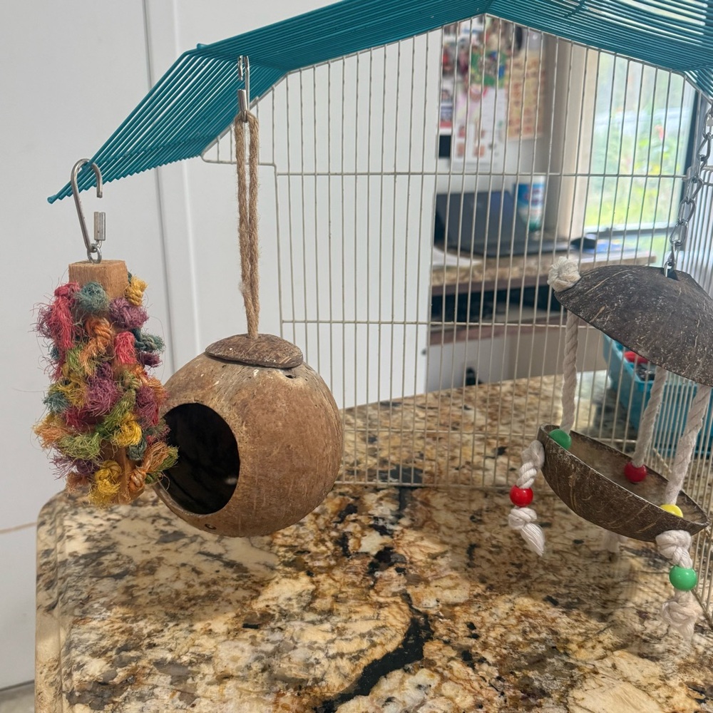 Natural Coconut Bird Toy with Colorful Rope - Picture 3 of 7